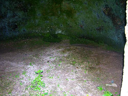 Volimidia chamber tomb cemetery