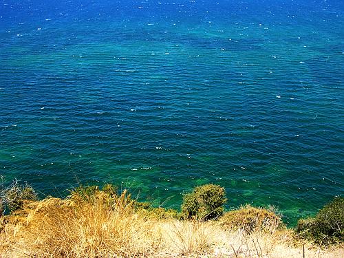 shore of Navarino Bay