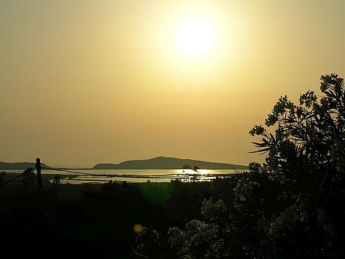 view to Navarino Bay