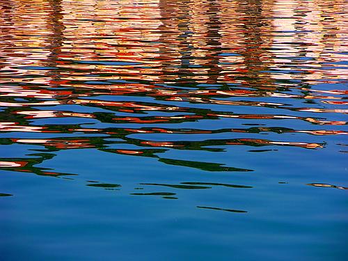 reflections in water